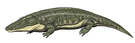 Реконструкция Parotosuchus orenburgensis