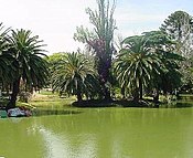 Parque Rodo, Montevideo, Uruguay Parque Rodo2.jpg