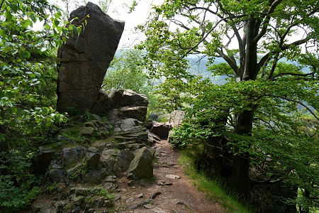 Paternosterklippe im Harz