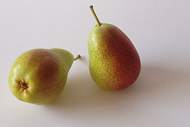 pears.