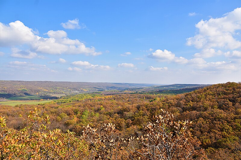 File:Pembina Valley Panorama Point South 2.jpg