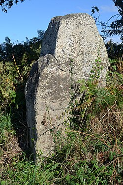 Image illustrative de l’article Menhir de Kergastel