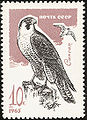Pilgrimsfalk på ett frimärke från Sovjetunionen, 1965.