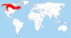 Mapka s rozšířením sojky šedé (červeně)