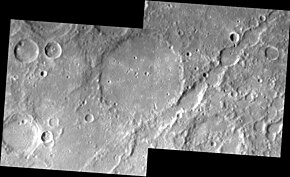 Philoxenus crater EN0216756590M EN0216841538M.jpg