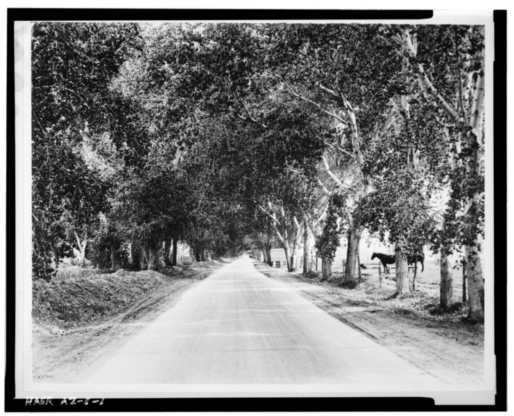 File:Photocopy of Photograph. VIEW LOOKING DOWN SOUTHERN AVENUE IN TEMPE, ARIZONA, INTO THE BARTLETT-HEARD LAND AND CATTLE COMPANY. Photographer- Unknown, circa 1925. Source- Phoenix HAER ARIZ,7-PHEN,14-1.tif