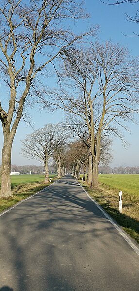 File:Plessaer Straße schraden 2022-03-25 6.jpg