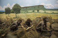 Prehistory Prehistory at Nairobi National Museum.jpg