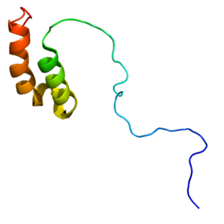 <span class="mw-page-title-main">COX17</span> Protein-coding gene in the species Homo sapiens