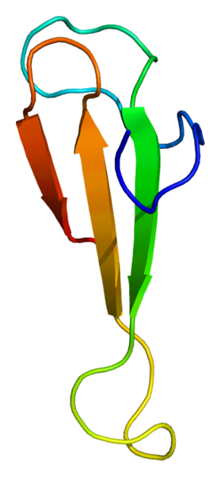 <span class="mw-page-title-main">TCEA1</span> Human protein-coding gene