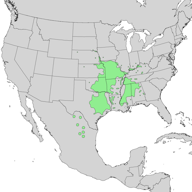 Description de l'image Prunus mexicana range map 1.png.