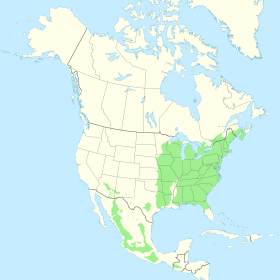 Prunus serotina range map.svg