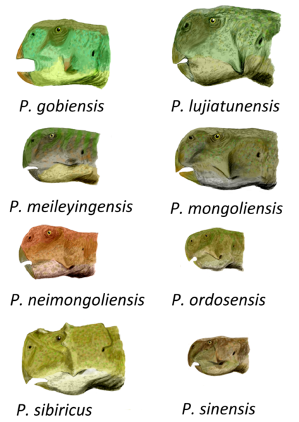 File:Psittacosaurus all BW.png