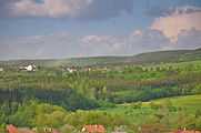 Čeština: Pylující lesy nad Velenovem, okres Blansko