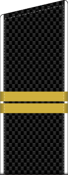 File:RAF N R4-Starsh2st 2010–.svg