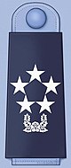 ROKAF insignia General of the Air Force.jpg
