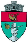 Wappen von Vatra Moldoviței
