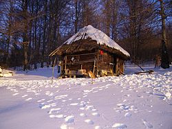 Пастирска (овчарска) колиба на Радочело, изградена в типичния за Западна Сърбия народен стил