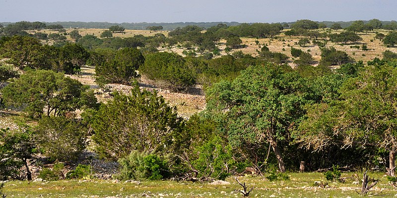 File:Ranchland seen from Highway 336, Real County, Texas, USA (14 April 2012).jpg