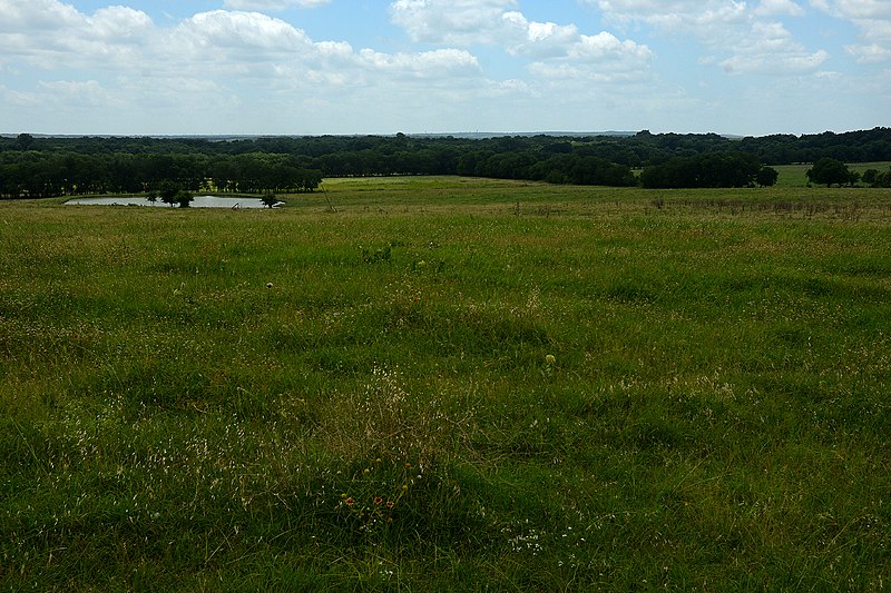 File:Ranchland seen from Highway 916 east of Grandview, Johnson County, Texas, USA (26 June 2021).jpg