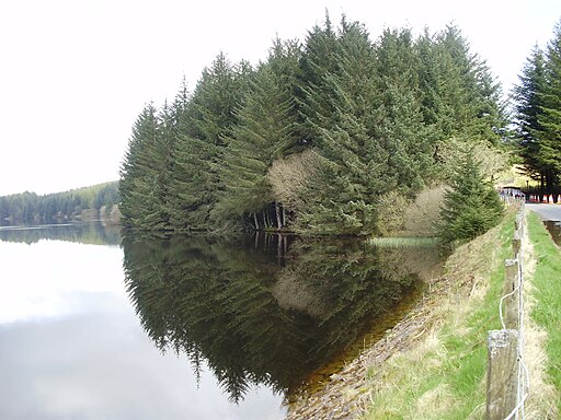Reflections on Alemoor - geograph.org.uk - 3758354