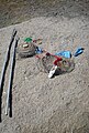 Grupo de reteles recogidos, y en la misma fotografía aparece los "palos de los cangrejos" que se usan para meterlos y sacarlos del agua.