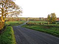 Road at Croash - geograph.org.uk - 275098.jpg