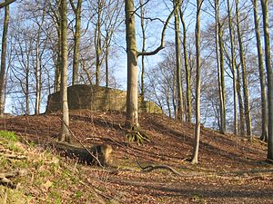 Summit region with the remains of the Rodenberg castle ruins