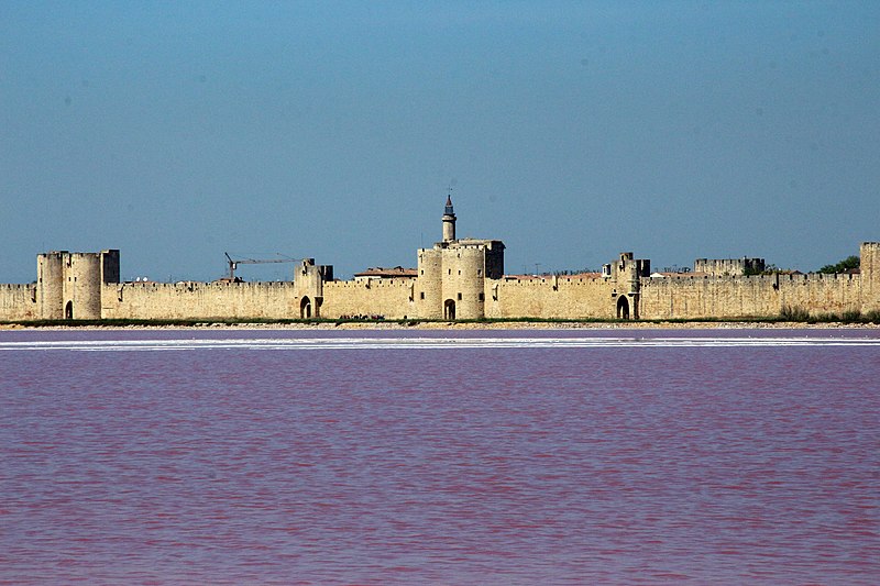 File:SALIN D'AIGUES-MORTES hdsr 700D 2017 04 22 9999 662.jpg