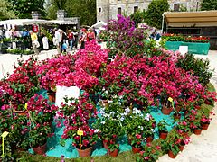 Saint-Jean-de-Côle floralies 11.JPG