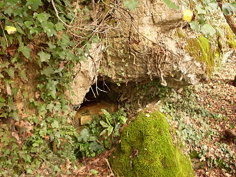 Karstquelle im Unterbajocium unterhalb von Ribeyrolles (Saint-Martin-le-Pin)