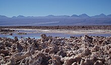 Sal Celta Gris Gruesa 1 libra Debido a la alta demanda estará disponible  después del 4 de octubre de 2023 -  México