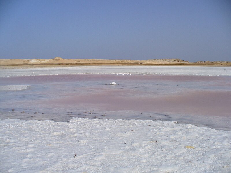 File:Saline Lake at Ras Mohamed National Park.jpg