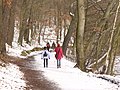 Schlachtensee - Winterlicher Uferweg (Wintry Lakeside Path) - geo.hlipp.de - 33184.jpg