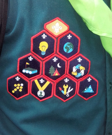 The nine Challenge Badges and the Chief Scout's Gold Award for the Scout Section, from the training programme revised in 2015. Scout Challenge Badges 2016.png