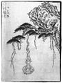 Le tsurubebi (?) est une boule de feu qui tombe d'un arbre. Peut-être en relation avec le tsurube-otoshi.
