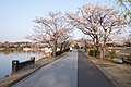 千波公園（茨城県水戸市）