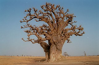 Senegal