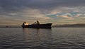 * Nomination: Sheila Ann, a self discharging bulk carrier ship, et al. in San Francisco Bay --Rhododendrites 00:44, 5 March 2018 (UTC) * * Review needed
