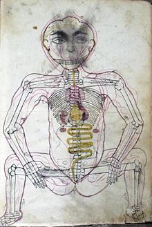 Skeleton of a human from Kifayeyi-Mansuri.jpg