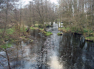 Rettighetene til Skrwa på Malanowo Stare