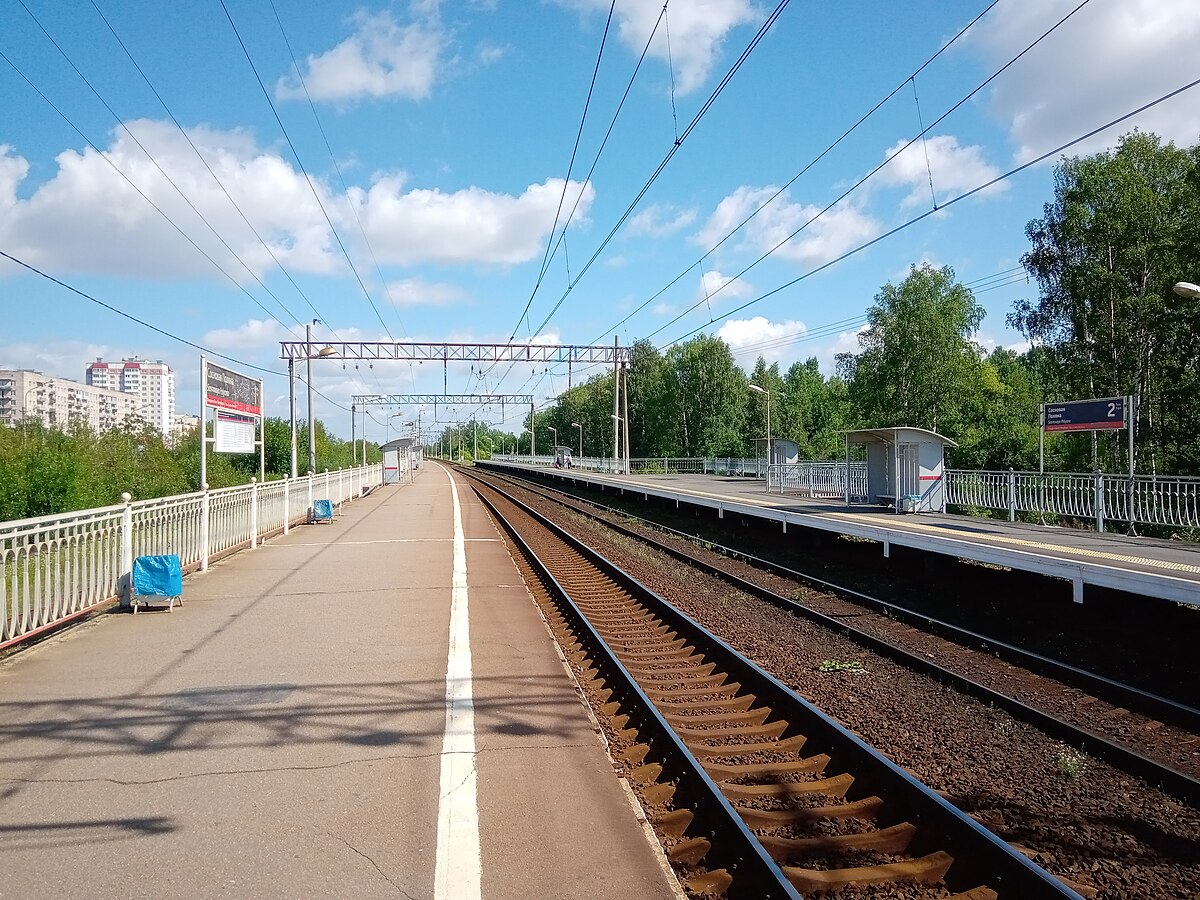 сосновая поляна в санкт петербурге