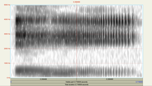 Spectrogram of o Spectrogram close-mid front rounded vowel (IPA o).png