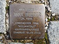 Stolperstein Anna Brieger