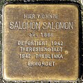 Stumbling block for Salomon Salomon (Maternusstraße 36)
