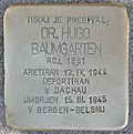 Stolperstein für Dr. Hugo Baumgarten (Ljubljana).jpg