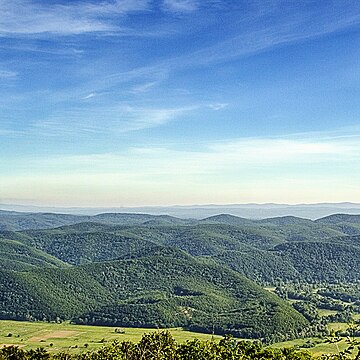 Bosna (zaștitеna zona)