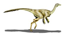 Life restoration of the Late Cretaceous ostrich dinosaur Struthiomimus Struthiomimus BW.jpg