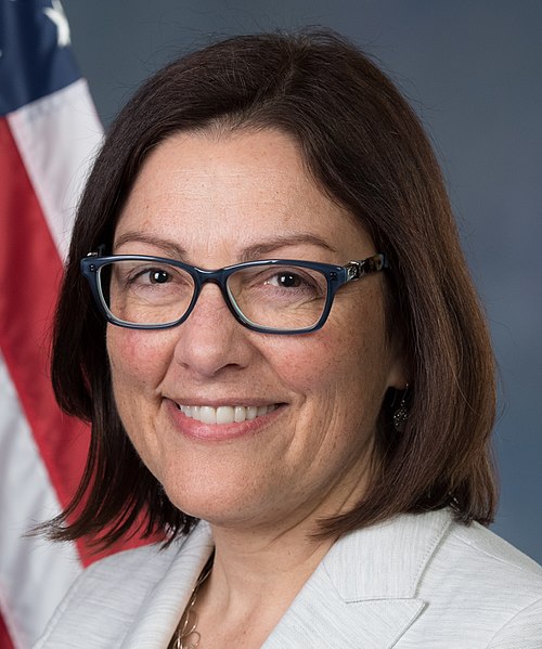 File:Suzan DelBene, official portrait, 115th Congress (cropped).jpg