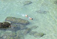 Snorkelling. Porto Covo, Portugal